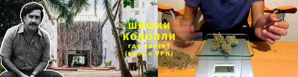 ГАЛЛЮЦИНОГЕННЫЕ ГРИБЫ Ступино