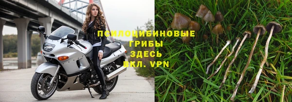 ГАЛЛЮЦИНОГЕННЫЕ ГРИБЫ Ступино