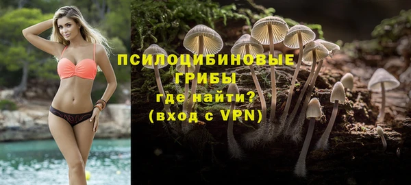 тгк Бронницы