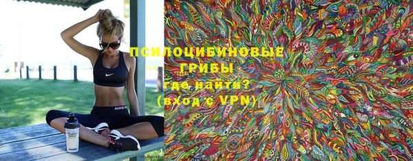 apvp Бородино