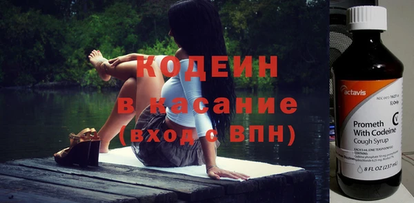 apvp Бородино