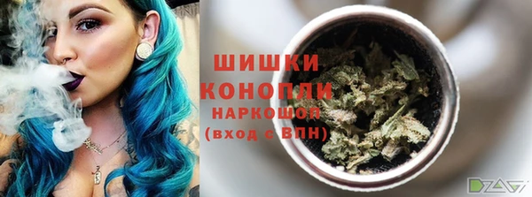 тгк Бронницы