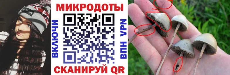 где найти   Белгород  Псилоцибиновые грибы мухоморы 