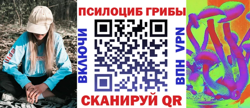 Псилоцибиновые грибы Psilocybine cubensis Белгород
